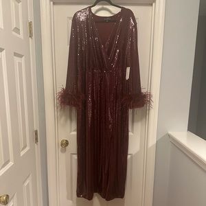 Gorgeous Maroon Gown with feathers